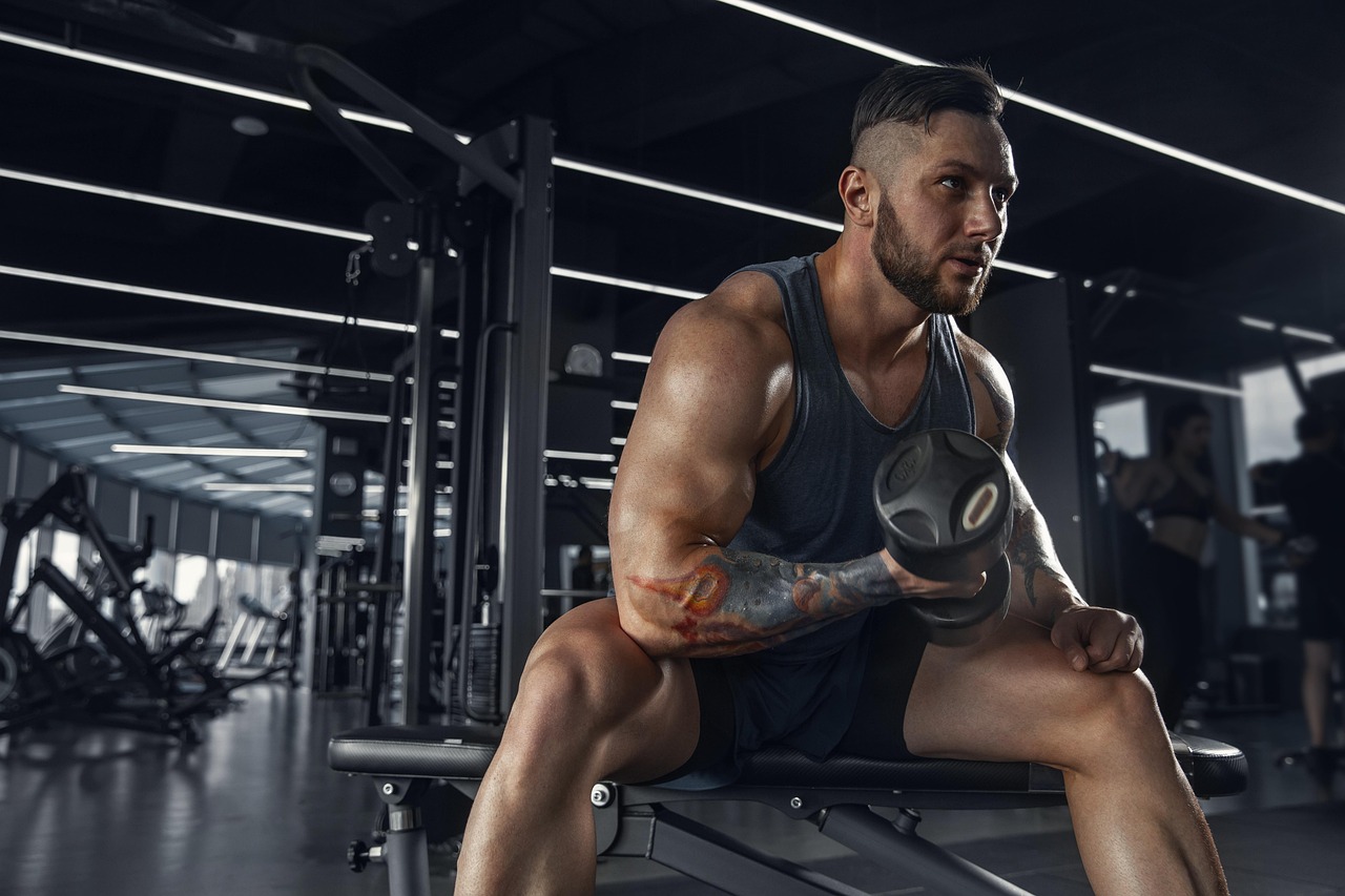 From Chair Potato to Gym Savage: A Survival Guide